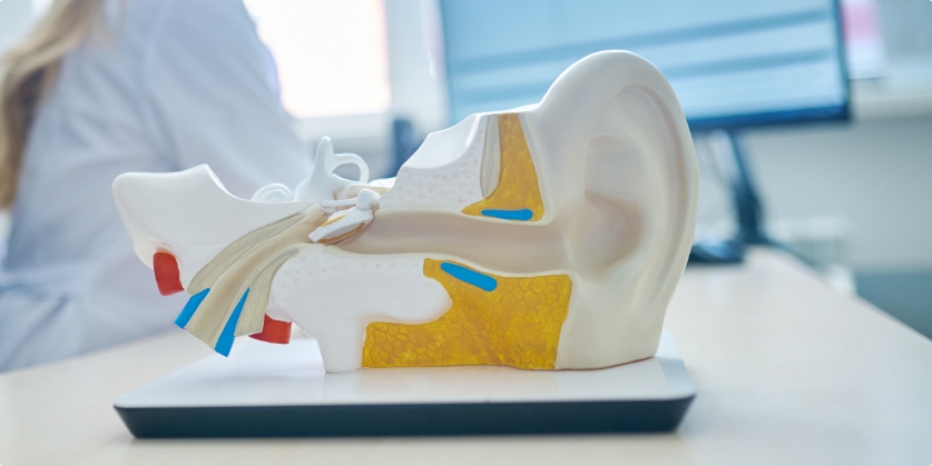 Duncan-Nulph Hearing Associates Blog